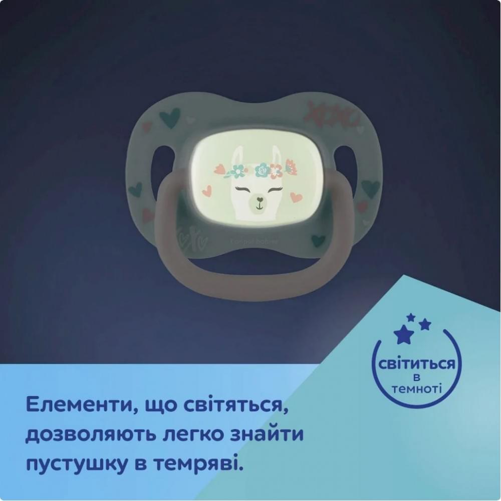 Пустушка силіконова "Коала" Exotic Canpol babies 34/920_koal симетрична