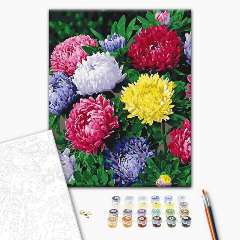Картина за номерами "Різнобарвні айстри" BS54120, 40х50 см