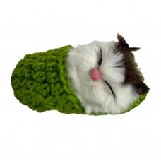 Дитячий антистрес "Котик спить у в'язаній тапочці" MM418(Green)