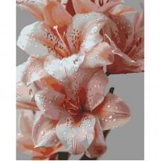 Картина за номерами "Краплі тиші" ©arttem_illustration 13169-AC 40х50 см