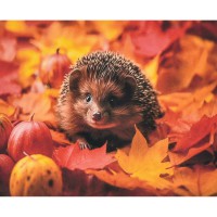 Алмазна мозаїка "Осінь у колючках" SK88227 40х50 см