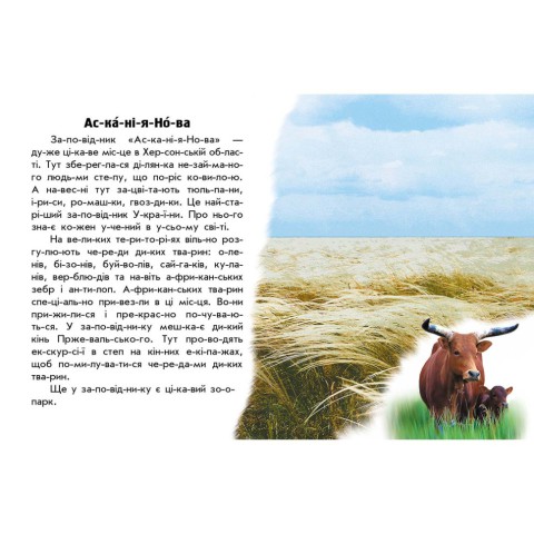Читаю про Україну по складах "Парки та заповідники" 366018 з кольоровими ілюстраціями