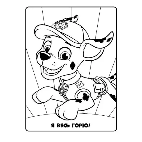 Книжка-розмальовка Щенячий патруль "Разом ми сила!" 228006 укр. мовою