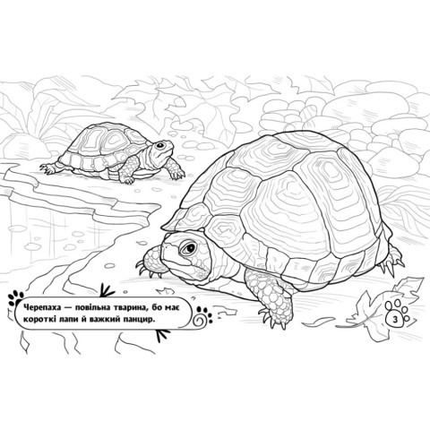 Дитяча розмальовка "Тварини у домі" 583010, 16 сторінок