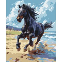 Картина за номерами "Благородний скакун" 11703-AC 40х50 см