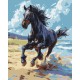Картина за номерами "Благородний скакун" 11703-AC 40х50 см