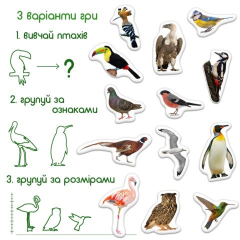 Дитячий набір магнітів Птахи фото Magdum ML4031-30 EN