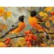 Картина за номерами "Пташки в саду" ©art_selena_ua KHO6638, 30х40 см