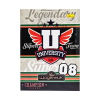 Щоденник учнівський "Стандарт" АП-0103-9 на скобі Вид 9