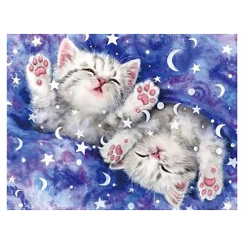 Алмазна мозаїка "Чарівні сни" 178422 картон, неповна викладка 21х25 см