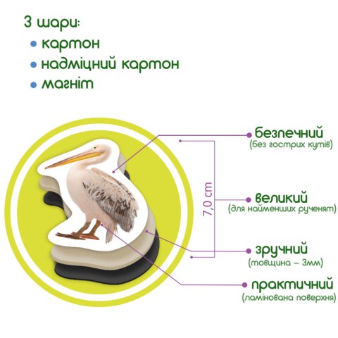 Дитячий набір магнітів Птахи фото Magdum ML4031-30 EN