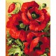 Картина за номерами "Принт в маках" BS52284, 40х50 см
