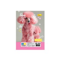 Блокнот А6 АП-1710-9, 40 аркушів, пружина збоку