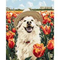 Картина за номерами "Щасливий лабрадор" KHO6623, 40х50 см