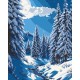 Картина за номерами "Зимова казка" 11060-AC 40х50 см