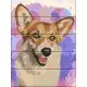Картина за номерами по дереву "Красуня коргі" ASW238 30х40 см