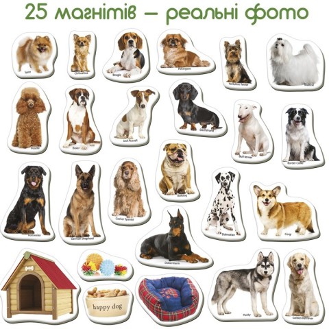 Дитячий розвиваючий набір магнітів "Породи собак" ML4031-20EN 24 фотомагніти
