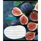 Зошит учнівський "Фруктовий сет" 018-530414K-5 в клітинку, 18 аркушів
