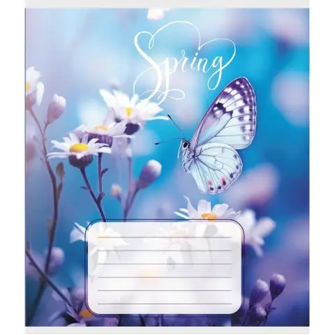 Зошит учнівський "Метелик весною" 018-530216K-5 в клітинку, 18 аркушів