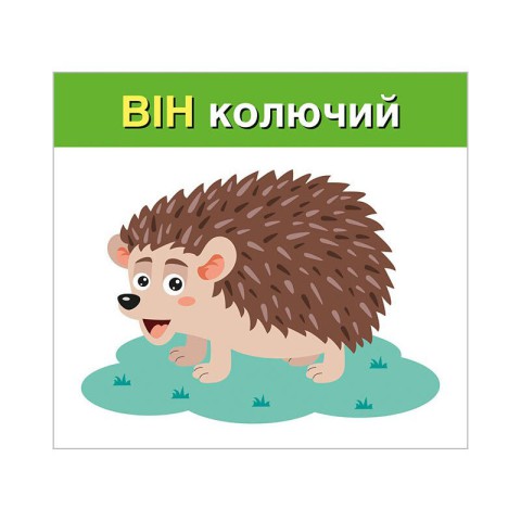 Навчальні картки "Вивчаємо займенники ВІН, ВОНА, ВОНО, ВОНИ" 10109168, 15 карток