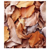 Зошит учнівський "Silence" 096-3358L-4 у лінію, 96 аркушів