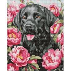 Алмазна мозаїка "Собака у півоніях" ©art_selena_ua AMO20084, 40х50 см