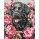 Алмазна мозаїка "Собака у півоніях" ©art_selena_ua AMO20084, 40х50 см