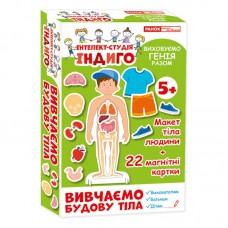 Дитяча розвиваюча гра на магнітах. Вивчаємо будову тіла 13109081, 22 картки в наборі