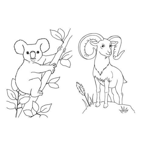 Велика книга розмальовок Тварини 1736002, 64 сторінки