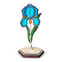 Набір для вітражного живопису за номерами "Ніжна ірис" FDSGK-013