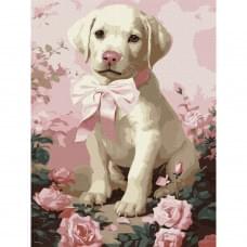 Картина за номерами "Пухнастий подарунок" KHO6755, 30х40 см