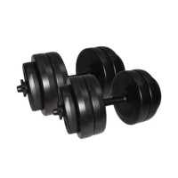 Гантелі складальні композитні в пластиковій оболонці Rock Pro 2 шт по 13 кг NE-PL-G-013-2