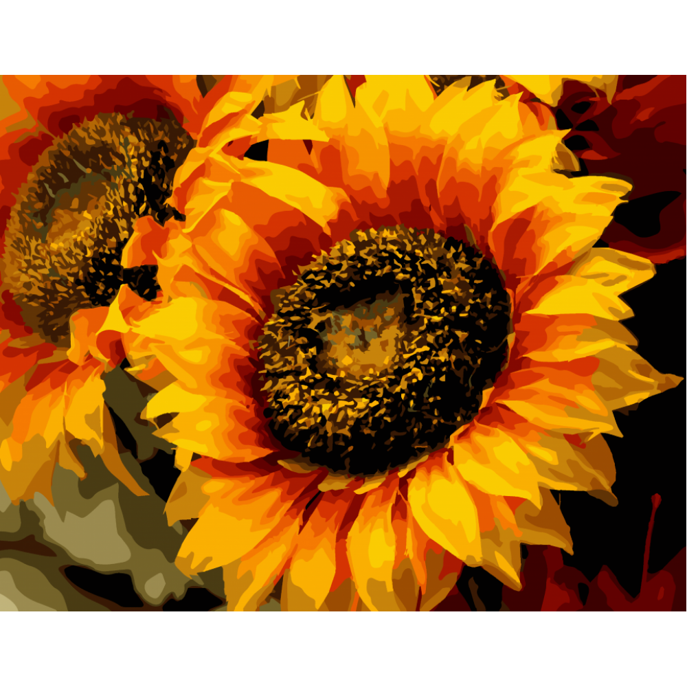 Картина за номерами. Art Craft "Шпигун сонця" 40 * 50 см 13106-AC