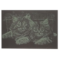 Гравюра А5 "Котики" ГрА5з-3 економ варіант у пакеті 21 х 14,8 см