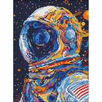 Алмазна мозаїка "Погляд у вічність" AMO8073, 30х40 см