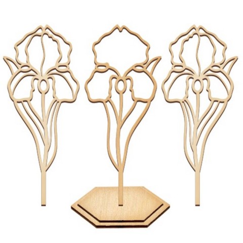 Набір для вітражного живопису за номерами "Ніжна ірис" FDSGK-013