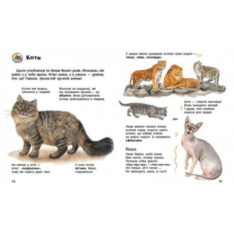 Енциклопедія дошкільника Домашні тварини 614029 для найменших
