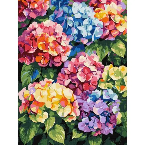 Картина за номерами "Різнокольорові гортензії" ©art_selena_ua KHO3299, 30х40 см