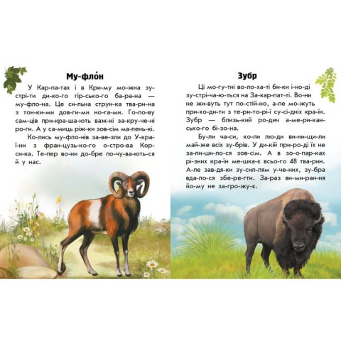Читаю про Україну по складах "Тварини гір" 366021 з кольоровими ілюстраціями