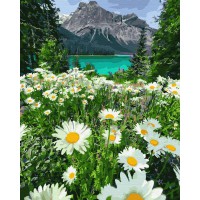Картина за номерами. Brushme "Ромашки у гір" GX29451