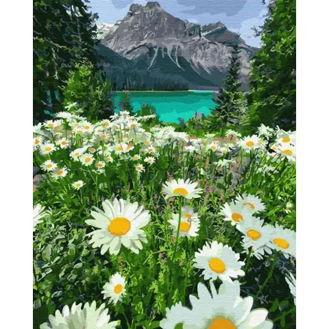 Картина за номерами. Brushme "Ромашки у гір" GX29451
