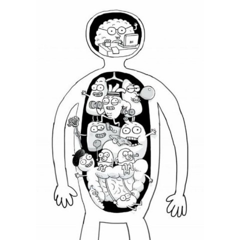 Енциклопедія дошкільника "Анатомія для дітей" 154101