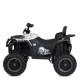 Дитячий електромобіль Квадроцикл M 6018EBLR-1 до 50 кг