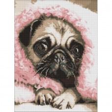 Алмазна мозаїка "Закутаний мопс" ©art_selena_ua AMO20072, 30х40 см