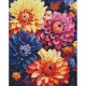 Алмазна мозаїка "Барвисті жоржини" AMO7842 40х50см