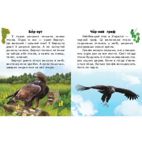 Читаю про Україну по складах "Тварини гір" 366021 з кольоровими ілюстраціями