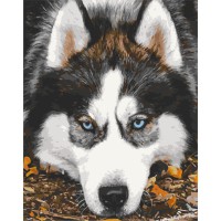 Картина за номерами "Засмучений хаскі" Art Craft 40х50 см 11509-AC