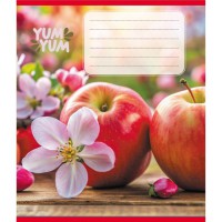 Зошит учнівський "Фрукти" 036-580143L-2 в лінію, 36 аркушів