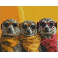 Алмазна мозаїка "Весела команда" ZAV4050-16 без підрамника 40х50 см