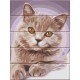 Картина за номерами по дереву "Котик" ASW150 30х40 см